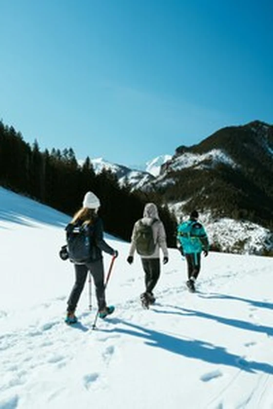 randonnée d'hiver